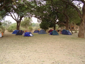 zambia south luangwa camping