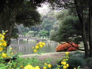japan tokyo shinjuku garden