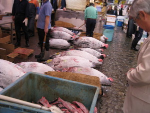 japan tokyo tsukiji fish market
